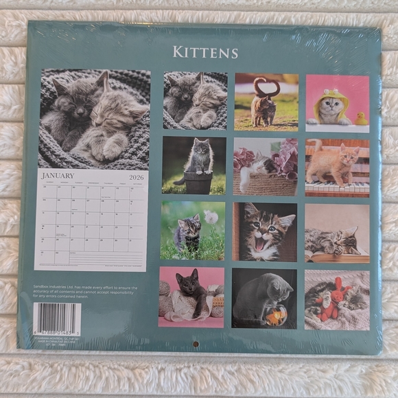 ✳️ FREE w/ Bundle - Kittens 2026 Wall Calendar - Picture 2 of 2